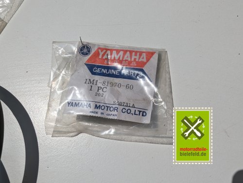 PXL_20240523_111540649